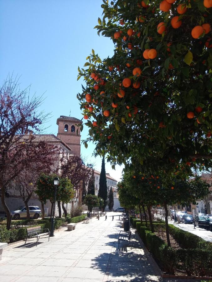 Appartamento Apartamento Cueva La Taracea Granada Esterno foto